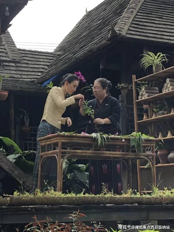 滚动的圆球无敌版